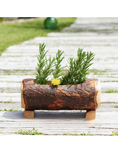 Fioriera in corteccia naturale ambientata