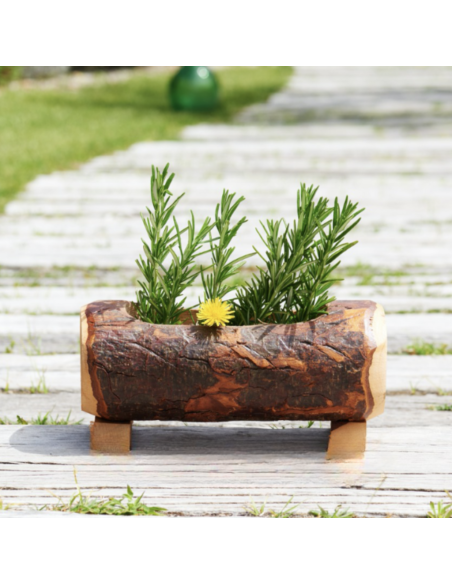 Fioriera in corteccia naturale ambientata